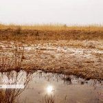 سیاست‌های غلط آبی به بحران آب دامن زده است